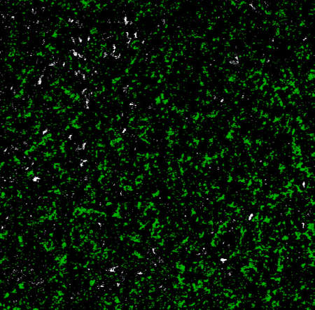 Background for Wallpaperの写真素材