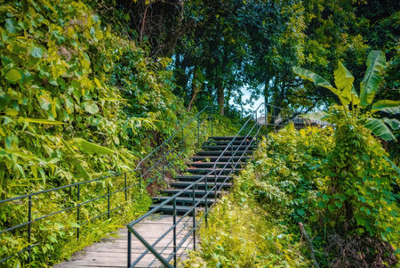 A staircase surrounded by lush green foliage in a tropical forest setting