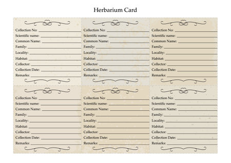 Beautiful herbarium label sheet. Old paper. Plant identification template isolated on white background. Vectorのイラスト素材