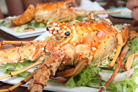 Closeup of delicious grilled lobsterの写真素材