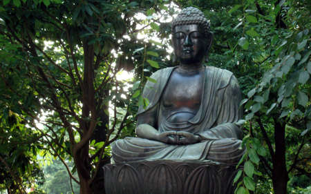 Buddha Statue In Forest in Japanの写真素材