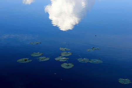 River Reflections In The Afternoonの写真素材