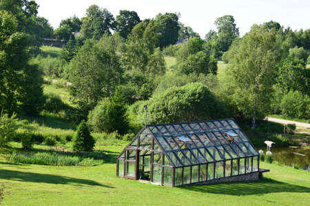 Vegetable gardening in a greenhouse.の写真素材