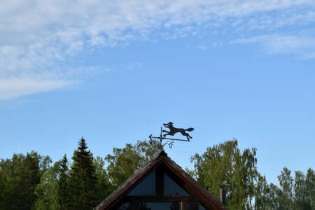 Wolf as an original and symbolic weathercock.の写真素材