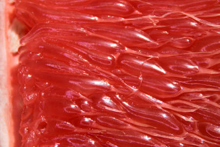 Closeup of a juicy grapefruit.の写真素材