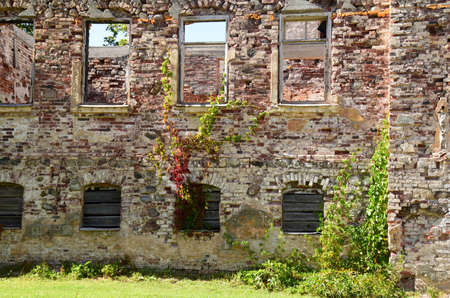 Conservation of old ruins.のeditorial素材