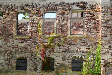 Conservation of old ruins.のeditorial素材