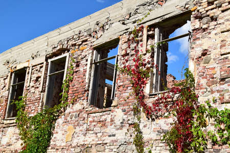 Conservation of old ruins.のeditorial素材