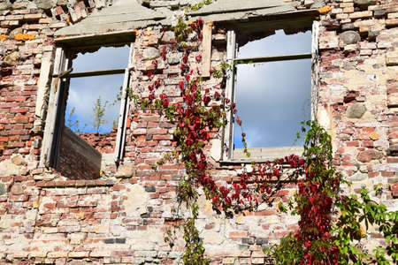 Conservation of old ruins.のeditorial素材