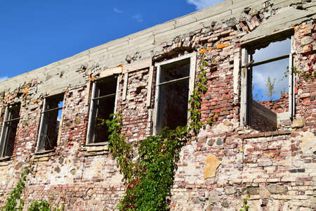 Conservation of old ruins.のeditorial素材