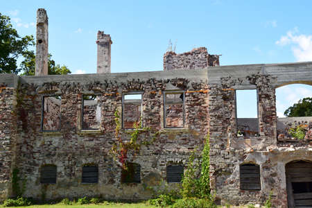 Conservation of old ruins.の写真素材