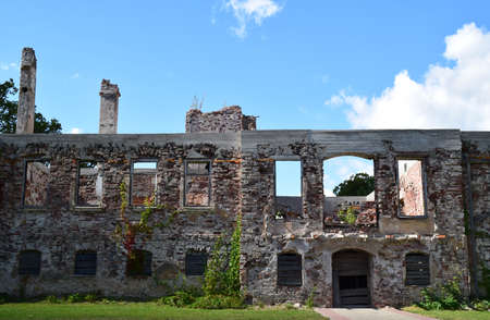 Conservation of old ruins.の写真素材