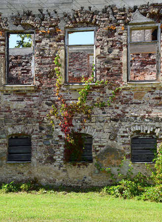 Conservation of old ruins.の写真素材
