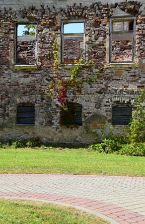 Conservation of old ruins.の写真素材