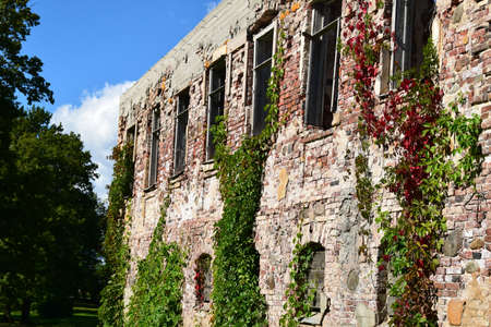 Conservation of old ruins.の写真素材