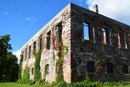 Conservation of old ruins.の写真素材