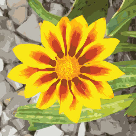 Yellow Red, Orange Flower, foliage backgroundのイラスト素材