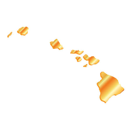 3D Hawaii, State USA Gold outline mapのイラスト素材