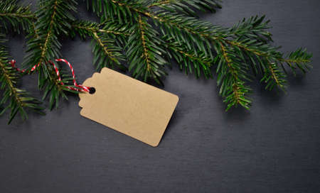 fir branch tag pendant christmas love gift panoramaの写真素材