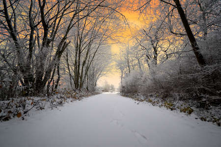 beautiful snowy white winter panorama at sunset