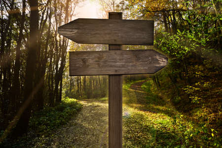 signpost direction forest lanes parting dirt road