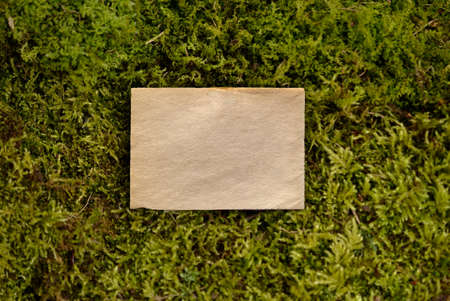 moss note paper shield nature card forestの写真素材