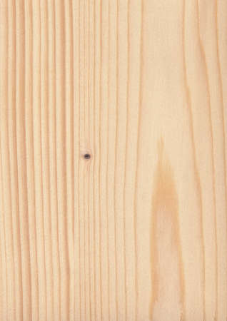 white fir tree needle conifer evergreen collageの写真素材