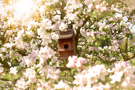 apple branch with bird house nest pink