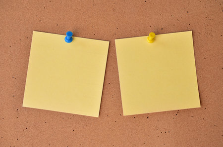 Colorful notes on a cork wall with a pinの写真素材