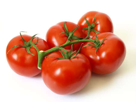 Tomatoes on whiteの写真素材