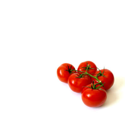 Tomatoes on whiteの写真素材