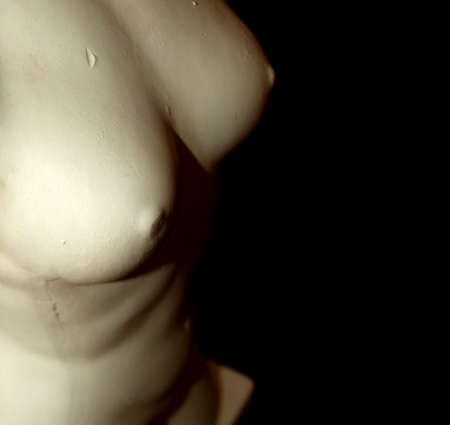 Femaleの写真素材