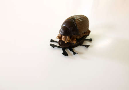 Chocolateの写真素材