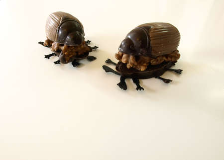 Chocolateの写真素材
