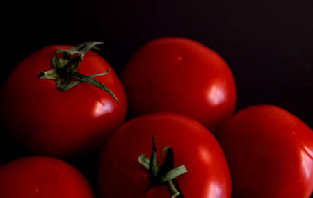 Tomatoesの写真素材
