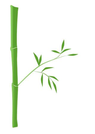 Illustration of green bambooのイラスト素材
