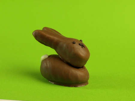 Chocolate Easter bunny の写真素材