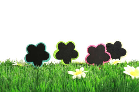 Green grass with abstract flowers の写真素材