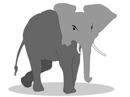 African elephantのイラスト素材