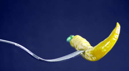 Fork with chiliの写真素材