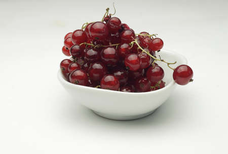 Fresh currant in a bowlの写真素材
