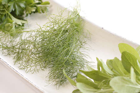 Different herbs in a white wooden bowlの写真素材