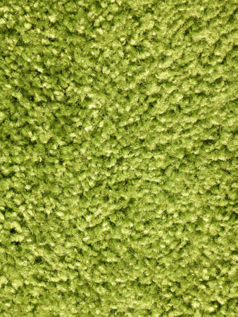 Green carpet texture with space for text   の写真素材