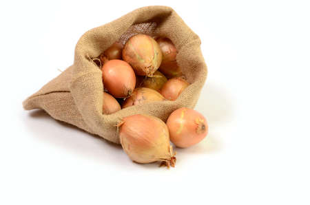Fresh onions in a bagの写真素材