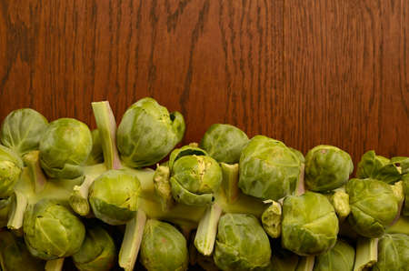 Sprouts on a wooden backgroundの写真素材