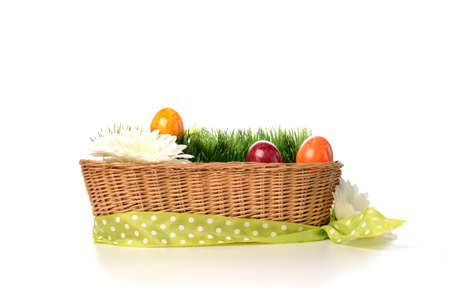 Colorful Easter eggs with green grass and flowersの写真素材