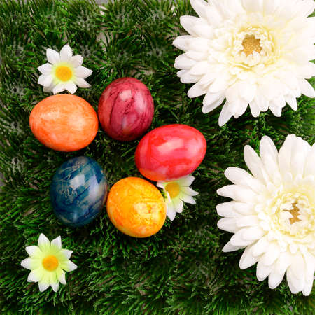 Colorful Easter eggs on green grass and flowersの写真素材