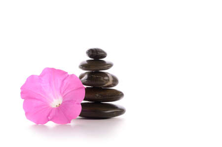 Stacked stones with a pink flower on a white backgroundの写真素材