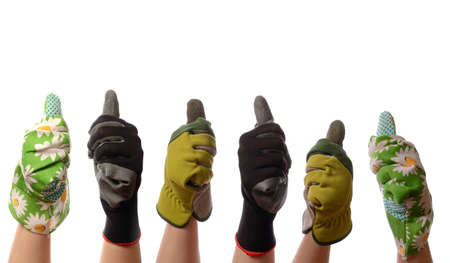Six hands with thumbs up on a white 