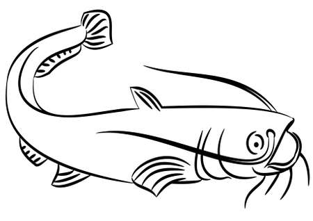 Line drawing of a cat fish on a white backgroundのイラスト素材